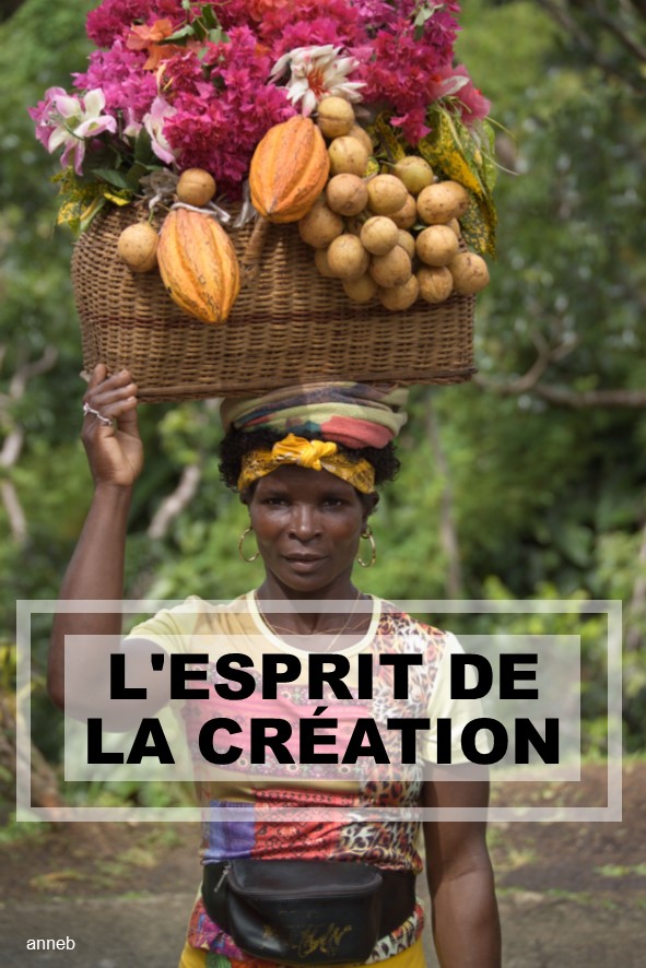 Prédication du 07 Octobre: L’ESPRIT DE LA CRÉATION