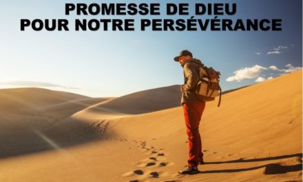Prédication de Marc SCHIPPERS (Unio Reformata)