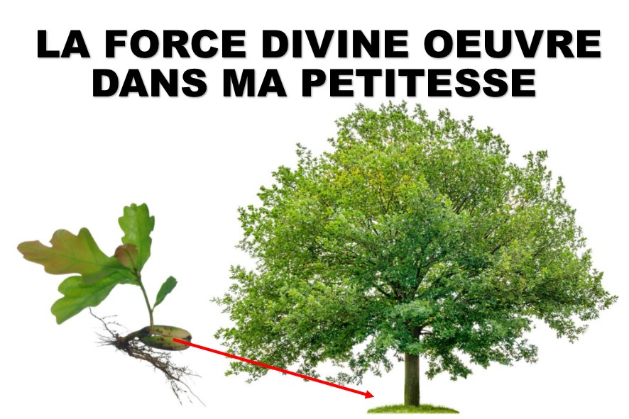 LA FORCE DIVINE OEUVRE DANS MA PETITESSE (Prédication du 13 Juin 2021)